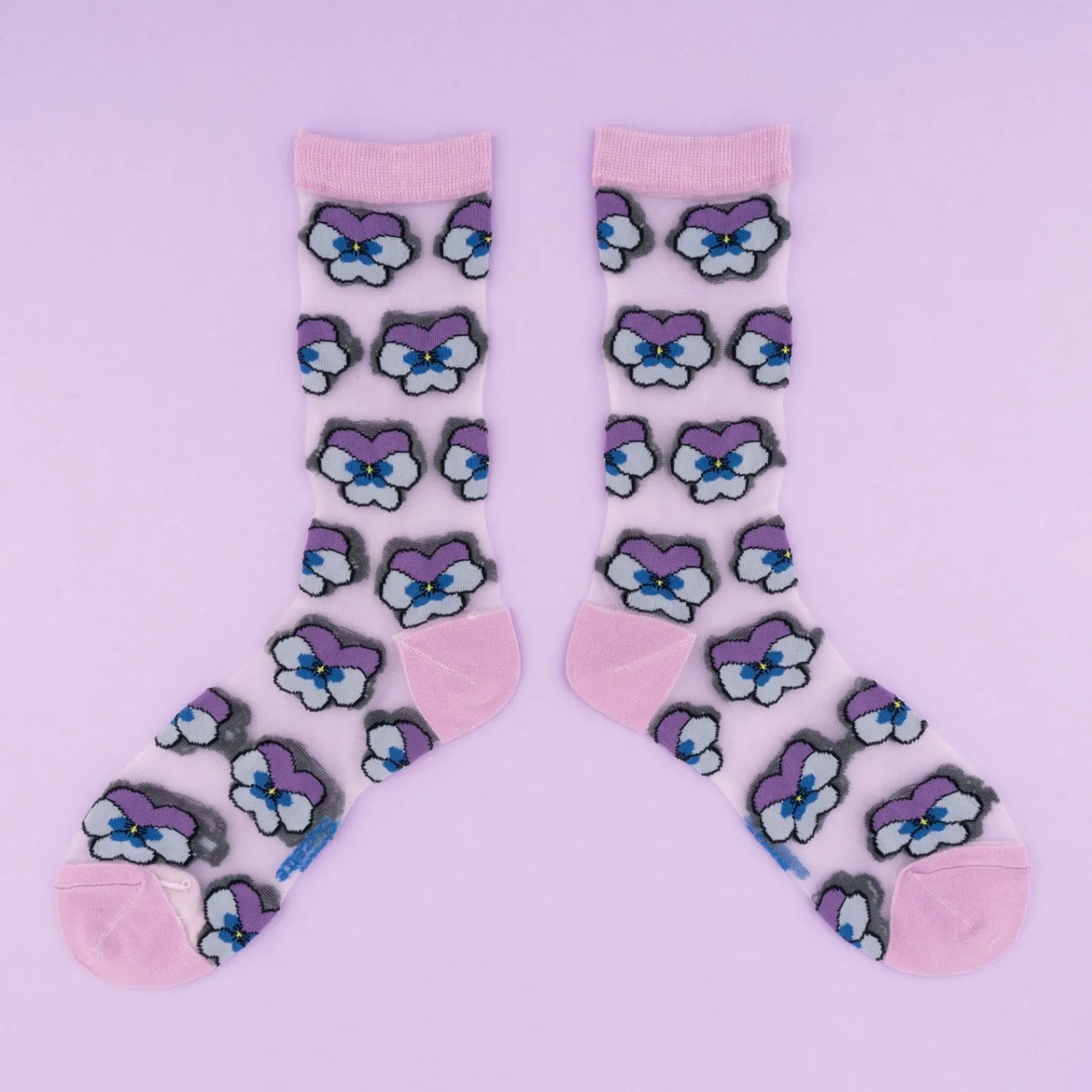 Chaussettes Transparentes Pensées