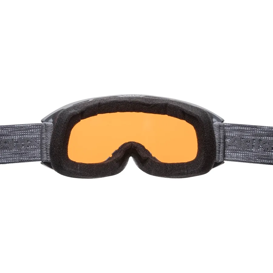 Masque de Ski Alpina Alpina Nakiska DH Grey Matt