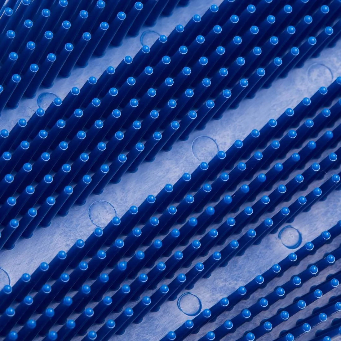 trille finlandaise grand modèle équitation adulte SCHOOLING bleue